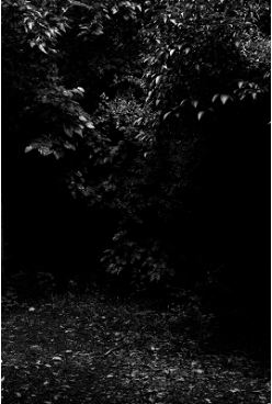 17 - Image actuelle, A. Erbetta, Ex-base militaire, VII Brigada Aérea de Moron, Bs As.